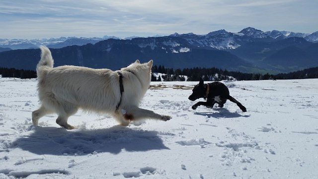 col de Senmoz (16)